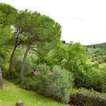 Farma Le Corti - Olio E Vino