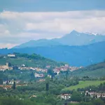 Le Corti - Olio E Vino
