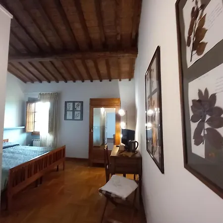 Le Corti - Olio E Vino * Lastra a Signa