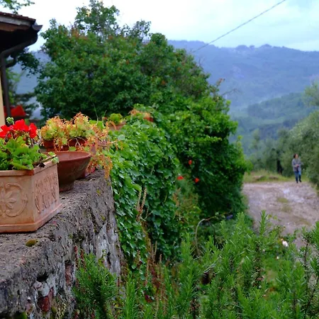 Le Corti - Olio E Vino Farma Lastra a Signa