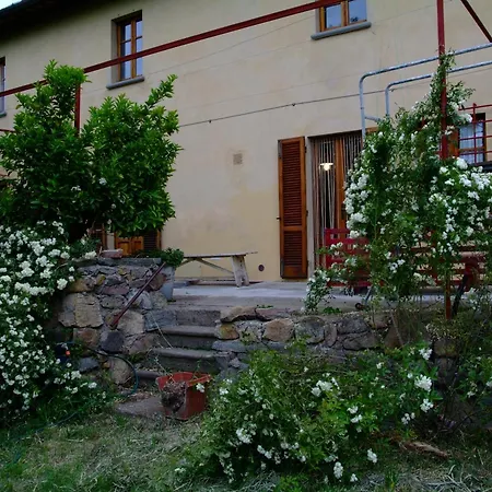 Le Corti - Olio E Vino